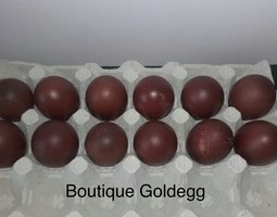 Œuf fécondé marans noir cuivré