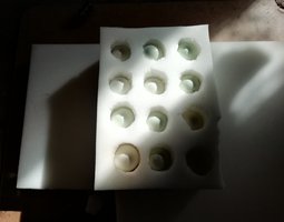 Oeufs Fécondés araucana