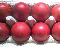 OEUFS DE MARANS A COUVER