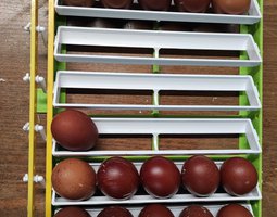 ŒUFS MARANS NCC (envoie au minimum par 12 œufs)