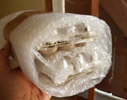 Caille du japon couleur mélangées ( 18 oeufs )