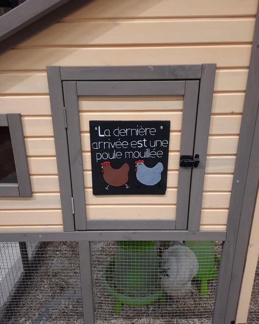 Décoration pour poulailler La dernière arrivée est une poule mouillée