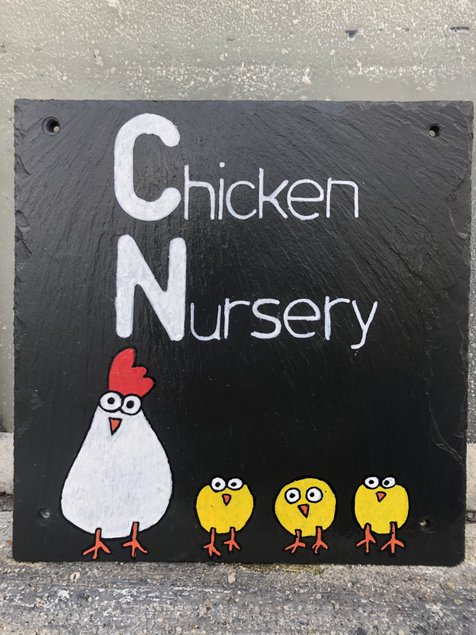 Ardoise Chicken Nursery