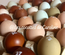 Pack de 12 oeufs colorés surprise (Mélange Olive et Easter eggers, Dorking, Marans)