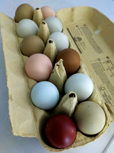 Oeufs colorés en mélange