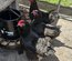 Œufs à couver de poules Marans noir à camail cuivré (NCC)