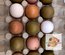 🥚 ADD3C Poules Aux Œufs Colorés ADD3C 🥚