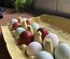 Panier de 6 œufs coloré. Marans legbar f1 leghorn olive egger