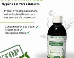 Diavermix eau 100 ml