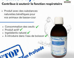 Pulmo phyt 100 ml