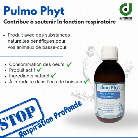 Pulmo phyt 100 ml