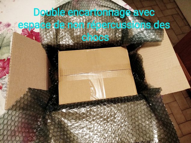 Oeufs à couver poule soie emballage sécurisé