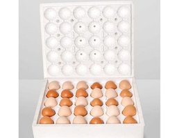 Ovopack poules 100% polystyrène (min 30 unités, mix de tailles possibles)