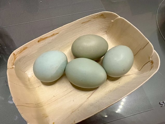 Oeufs de Poulets UHEYILUI
