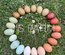 Mix oeufs colorés