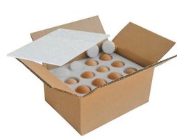 Ovopack complet carton + mousse minimum 20!