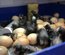 Oeufs fécondés de Coucou de Rennes