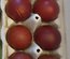 Oeufs de Marans NCC et BCC
