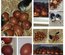 Oeufs de Marans NCC et BCC