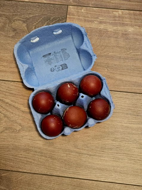 Marans noir camail cuivré Tata cocottes