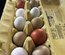 Œufs fécondés à couver. Panier coloré. Marans leghorn f1 f2 cream legbar