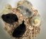 OEUFS BANTAM DE PEKIN ( 5+1 offert )
