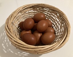 Œufs fécondés Poule Marans Saumon doré SD