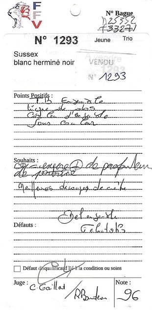 Sussex pure race BHN (GR) "BIO"