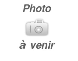 Brahma gris perle 🇺🇸