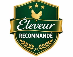 Abonnement mise en avant pour 12 mois