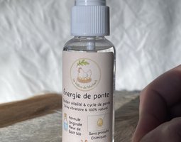 Spray énergie de ponte fleur de Bach