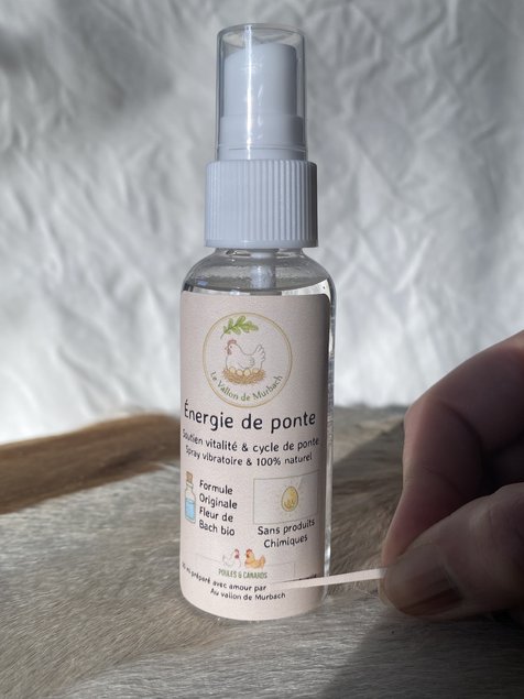 Spray énergie de ponte fleur de Bach
