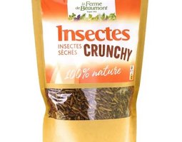 Insectes Séchés Crunchy 250G