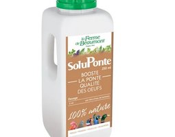 Soluponte 250Ml