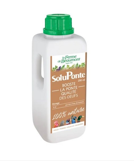 Soluponte 250Ml