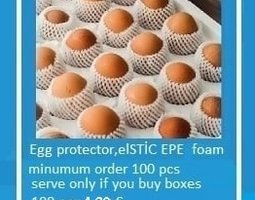 Protection pour oeufs - par 100 pièces