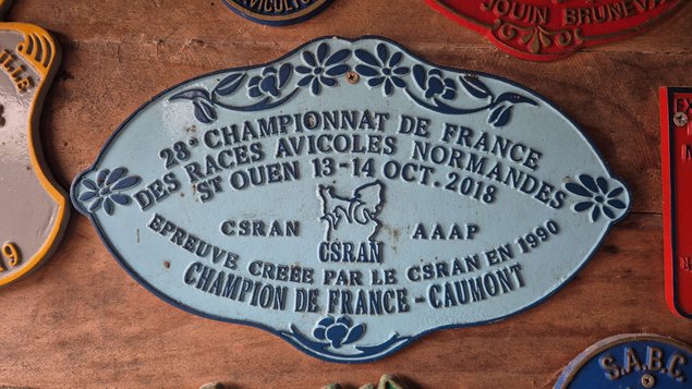 CAUMONT