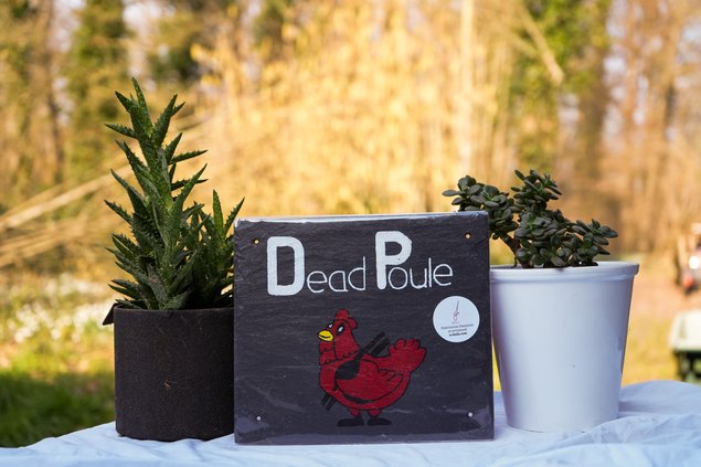 Ardoise Dead Poule