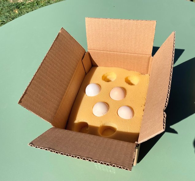 Pékin Porcelaine bleu rouge (Millefleurs) -12 oeufs - Assurance transport comprise - Fontolive