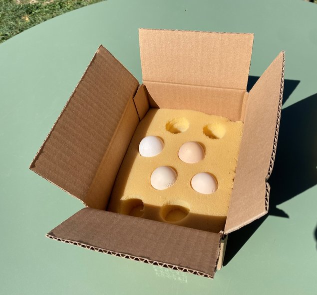 Pékin Porcelaine bleu rouge (Millefleurs) - 8 oeufs - Assurance transport comprise - Fontolive