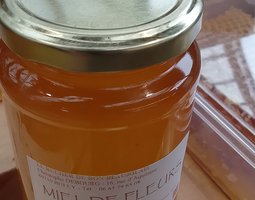 Miel de fleurs