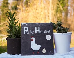 Ardoise Poule House