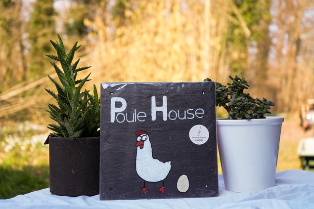 Ardoise Poule House