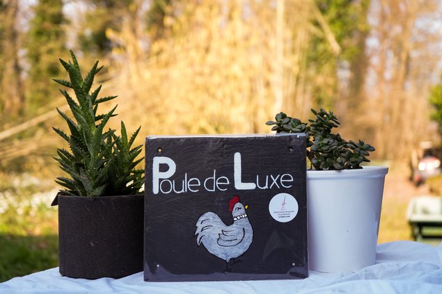 Ardoise Poule de Luxe