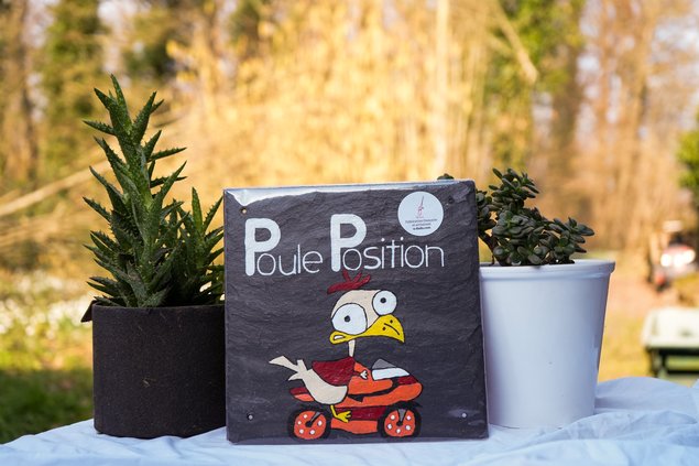 Ardoise Poule Position