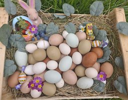 Panier surprise pour Pâques (30 œufs)