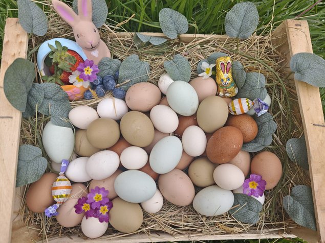 Panier surprise pour Pâques (30 œufs)