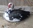 🦆 Canard Barbarie ( oeufs fécondés)