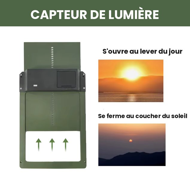 Ouvre-porte automatique pour poulailler